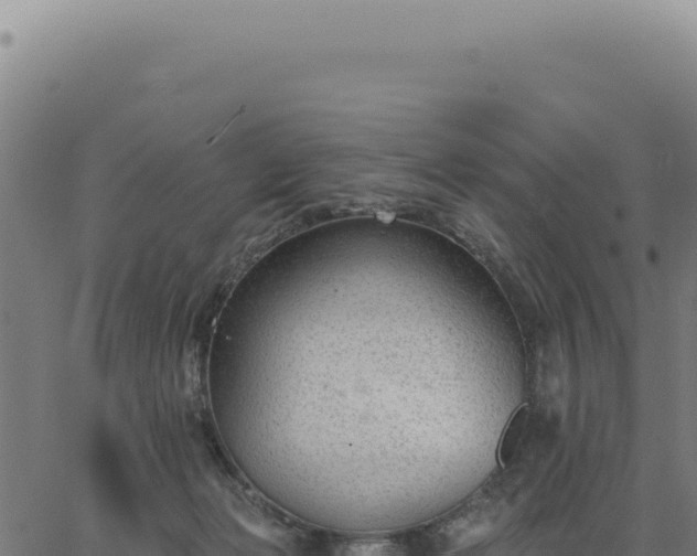 X0000063490173200601271729