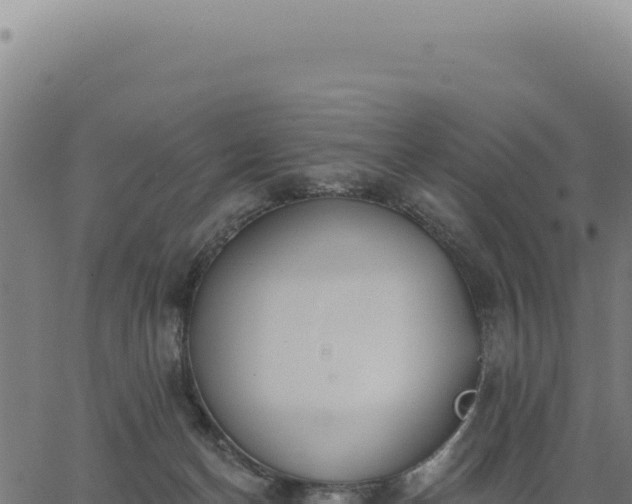 X0000063490174200601271729