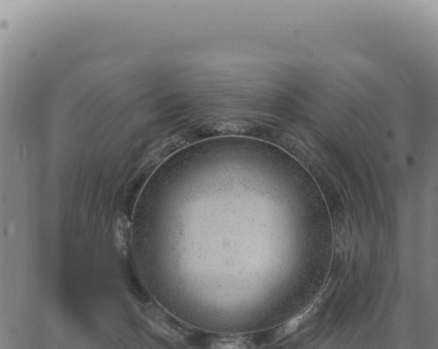 X0000063490175200601271729