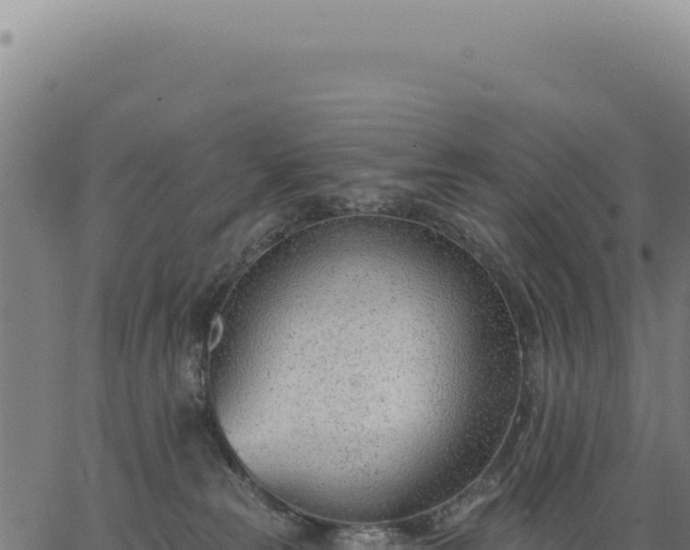 X0000063490181200601271729