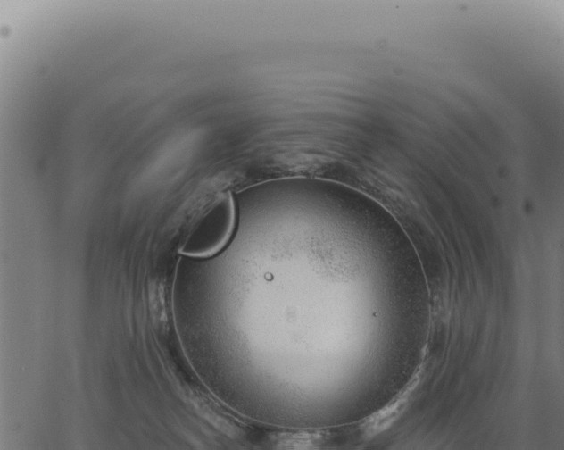 X0000063490182200601271729