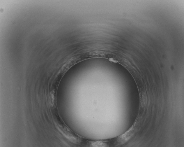 X0000063490183200601271729