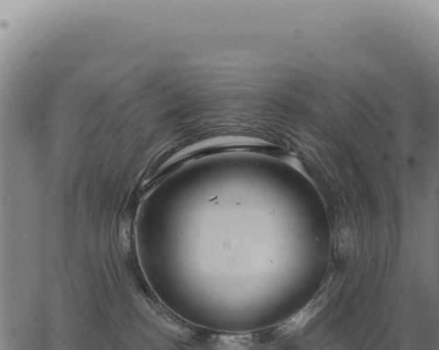 X0000063490188200601271729