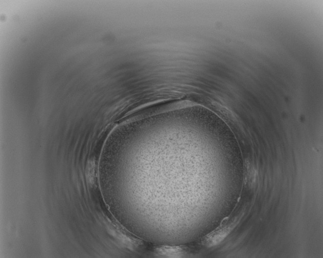 X0000063490189200601271729