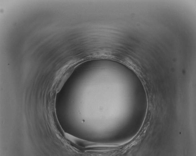 X0000063490193200601271728