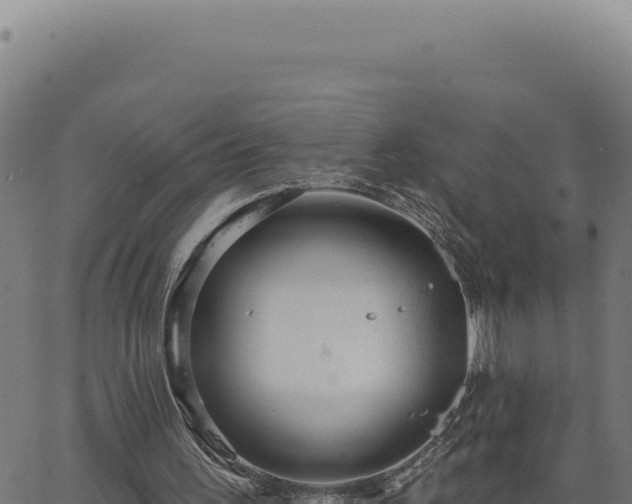 X0000063490195200601271728