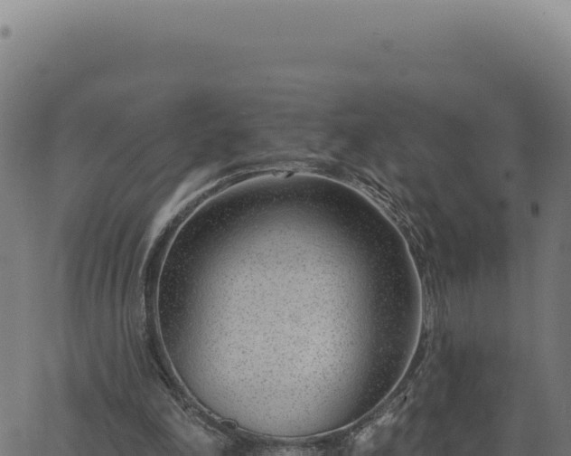 X0000063490198200601271728