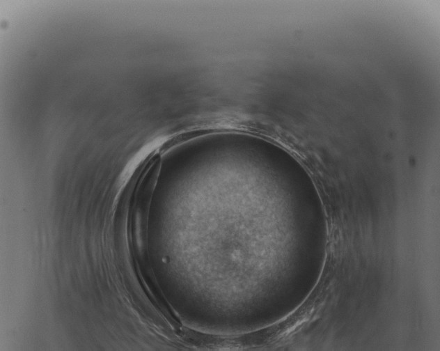 X0000063490200200601271728