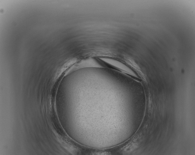 X0000063490202200601271728