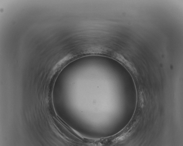 X0000063490203200601271728