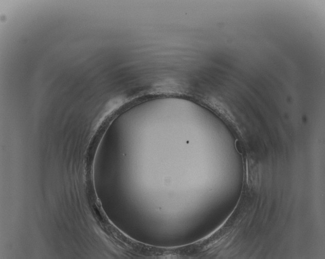 X0000063490204200601271728