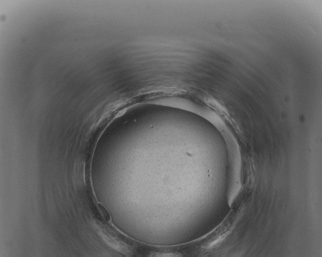 X0000063490205200601271728