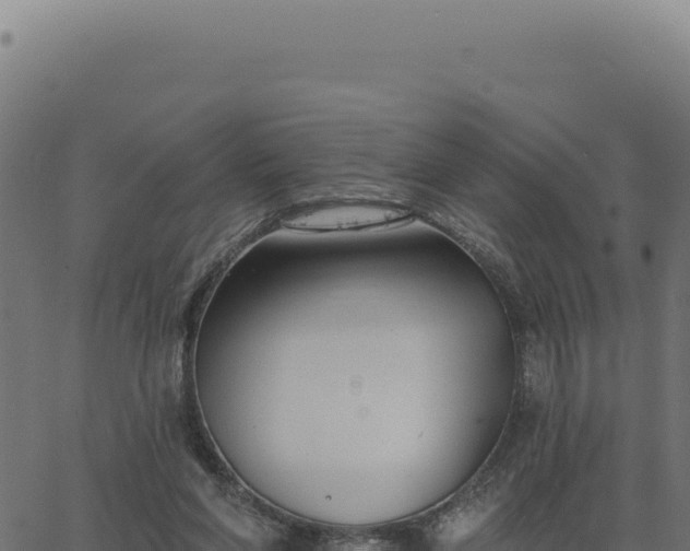 X0000063490206200601271728