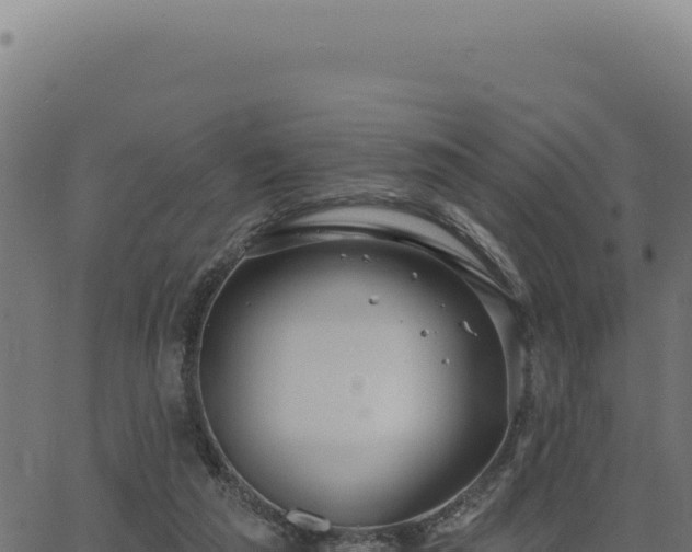 X0000063490209200601271728