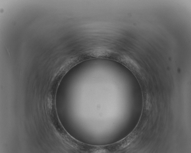 X0000063490210200601271728