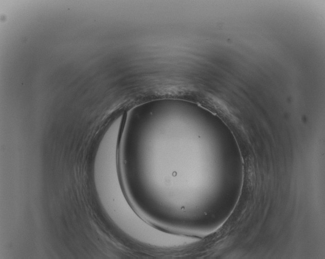 X0000063490211200601271728