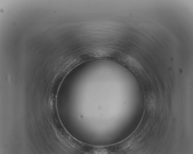 X0000063490214200601271728