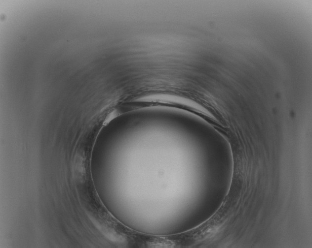 X0000063490215200601271728