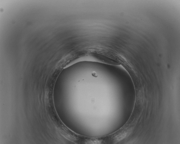 X0000063490217200601271728