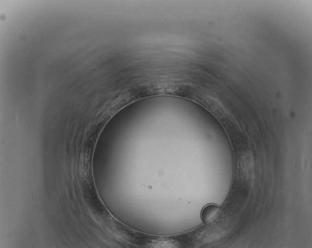 X0000063490218200601271728