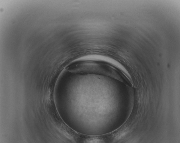 X0000063490219200601271728