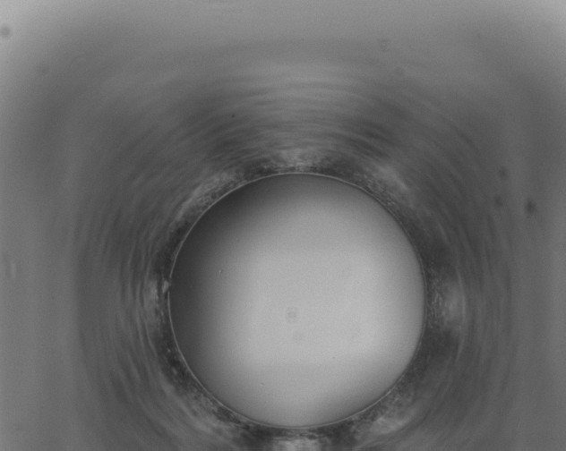 X0000063490220200601271728