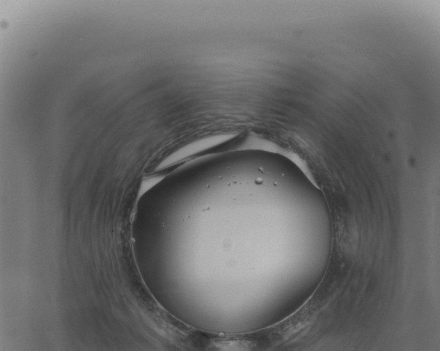 X0000063490221200601271728