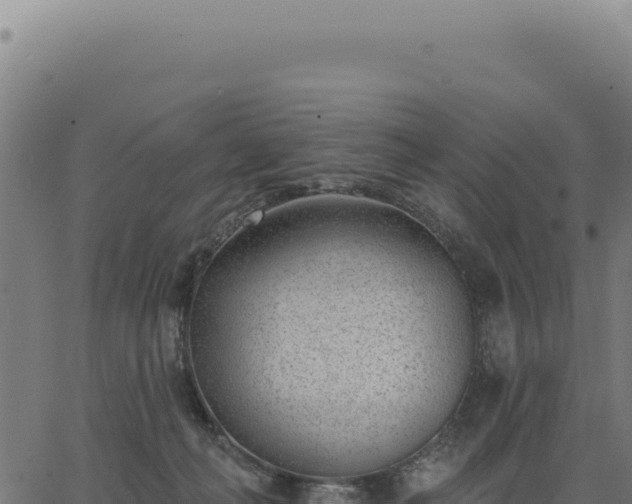 X0000063490222200601271728