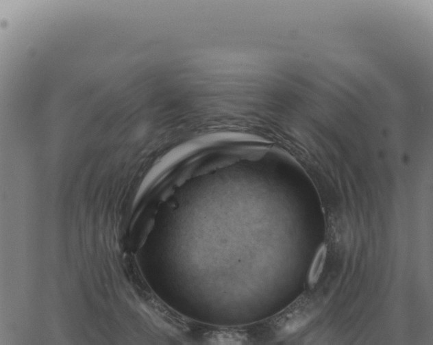 X0000063490223200601271728