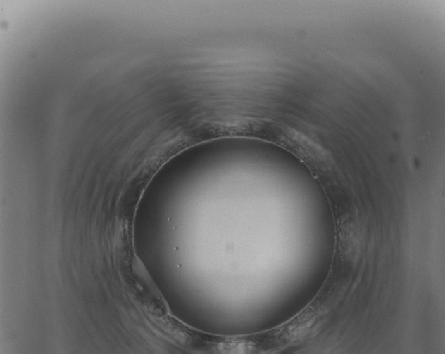 X0000063490225200601271728