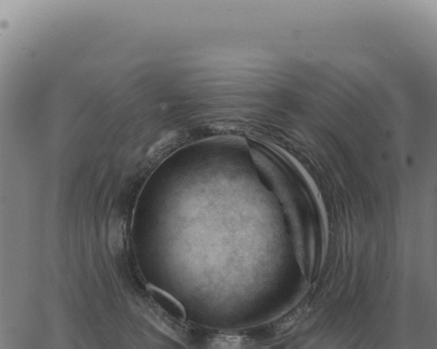 X0000063490227200601271728