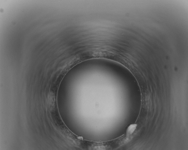 X0000063490228200601271728