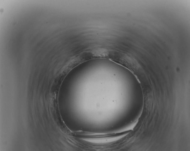 X0000063490229200601271728