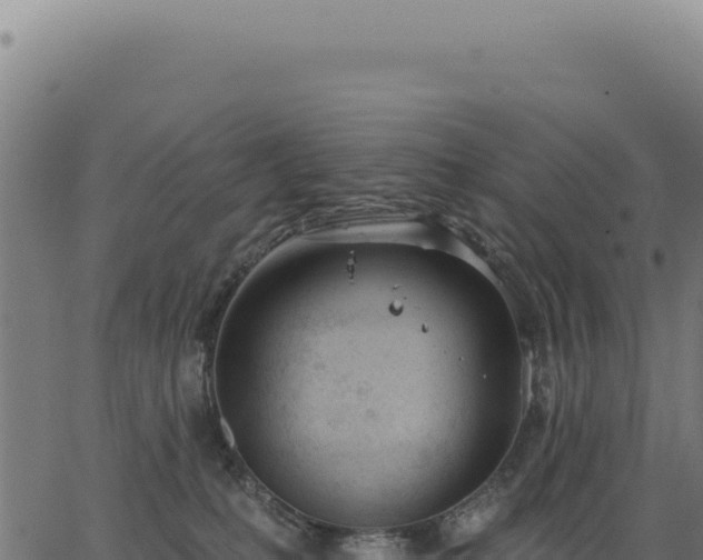 X0000063490231200601271728