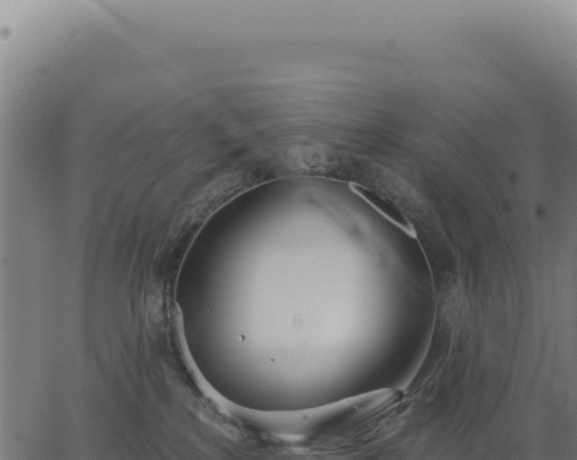 X0000063490233200601271728