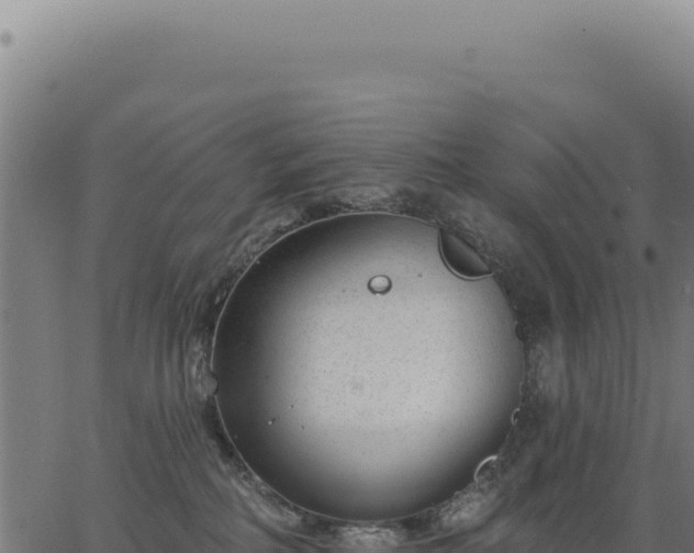 X0000063490234200601271728