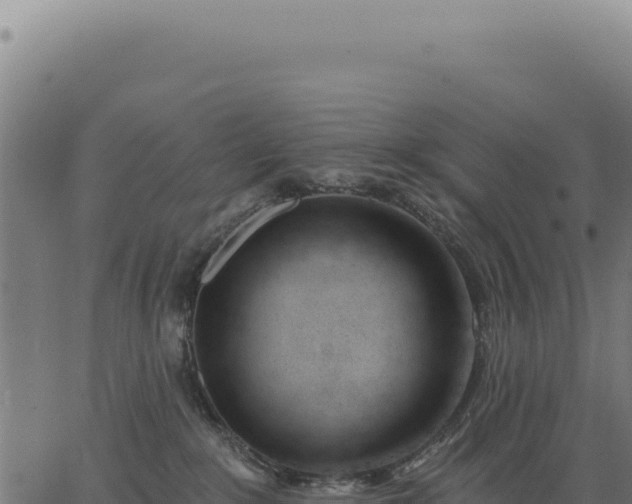 X0000063490235200601271728