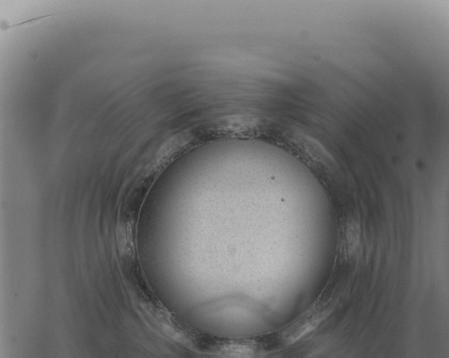 X0000063490236200601271728