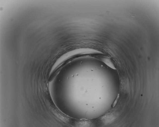 X0000063490237200601271728