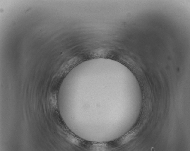 X0000063490240200601271728