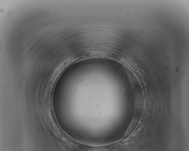 X0000063490241200601271727