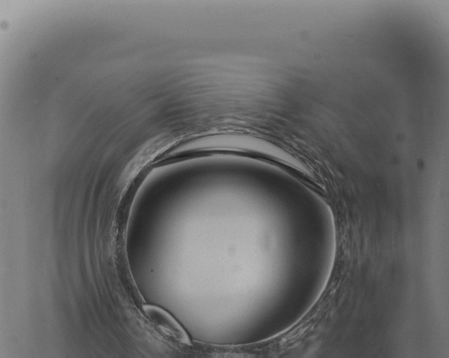 X0000063490242200601271727