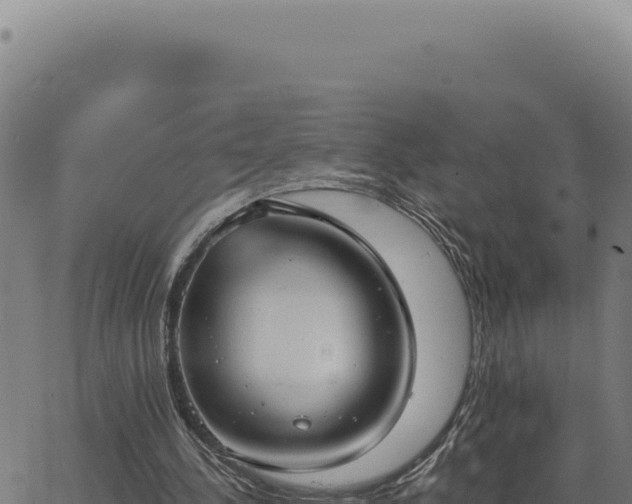 X0000063490244200601271727