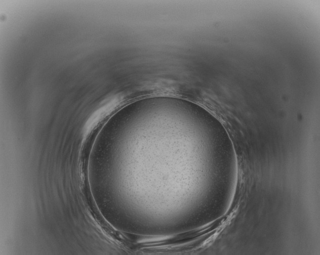 X0000063490245200601271727