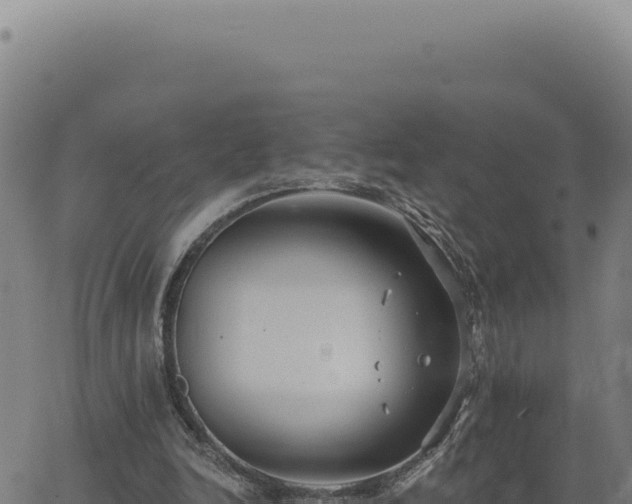 X0000063490246200601271727