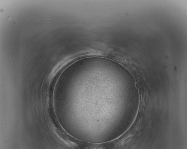 X0000063490247200601271727