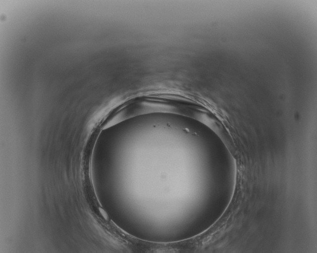 X0000063490248200601271727