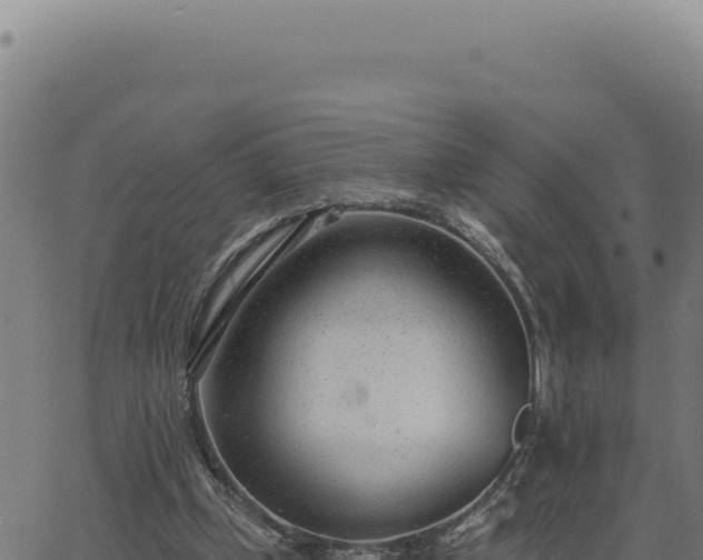 X0000063490249200601271727