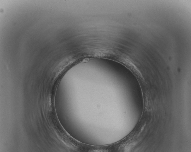 X0000063490251200601271727