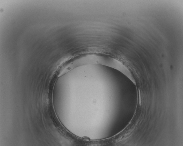 X0000063490252200601271727